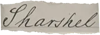 onomastics image