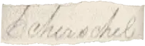 onomastics image